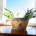Rooms Lavanda&Ruzmarin